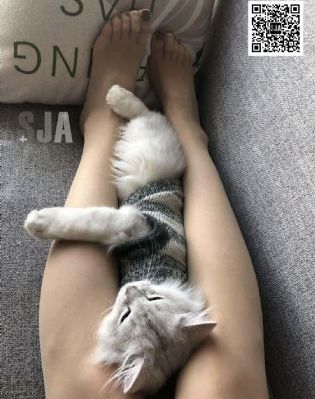 垫底辣妹下载_超清手机在线观看
