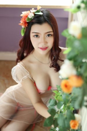 赛马娘第三季在线观看全集_蓝光免费高清观看