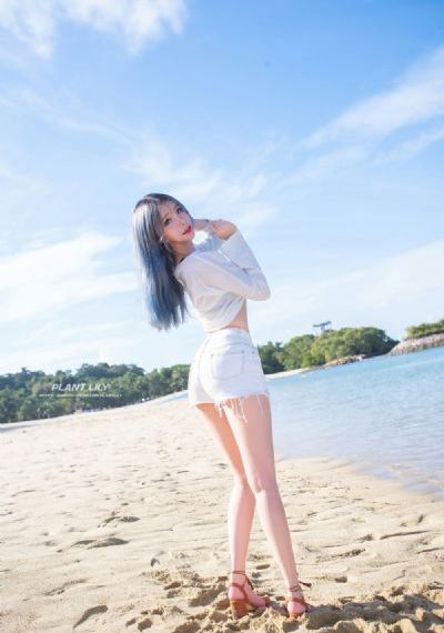 电视连续剧西北_BD免费观看视频