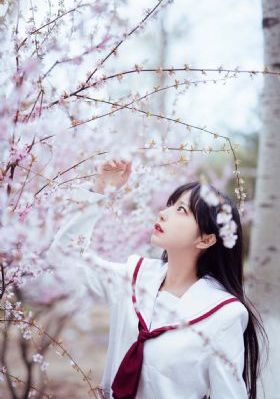 小侠龙旋风全集免费观看_BD英语免费在线播放